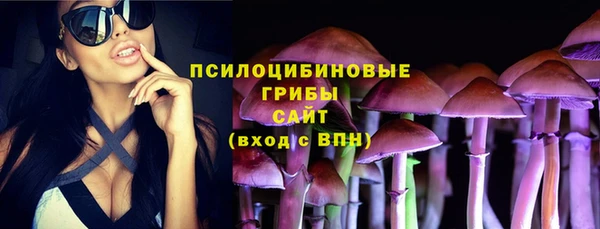 дживик Алексеевка