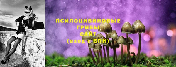 соль ск Алексин