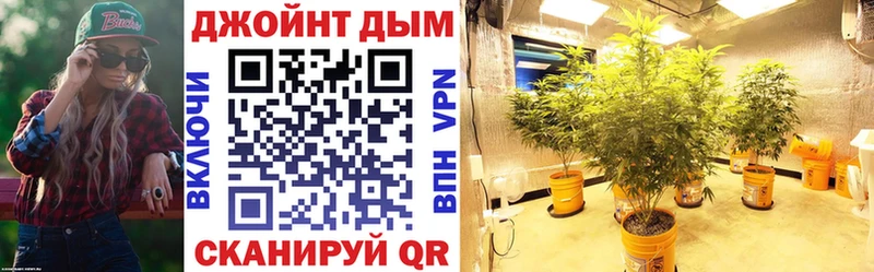где купить наркоту  Тутаев  Канабис семена 